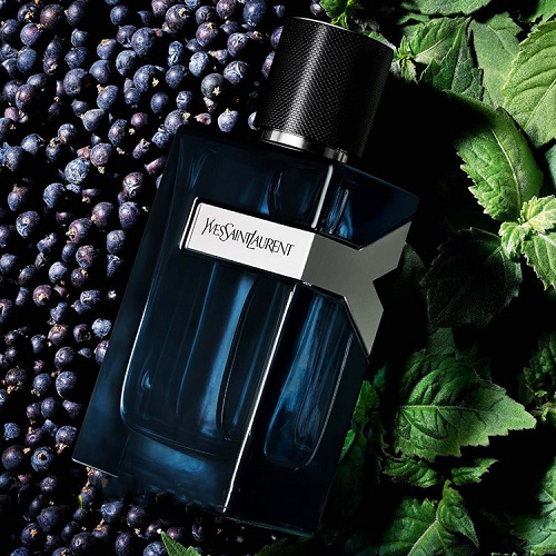 عطر ایو سن لورن وای/گرید hcv ژیوادان ، 5میل - مزون یونا