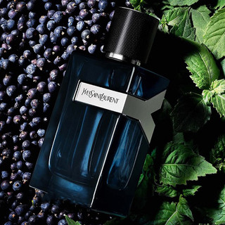 عطر ایو سن لورن وای/گرید hcv ژیوادان ، 5میل - مزون یونا